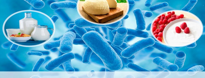 Beneficios y Propiedades de Probioticos
